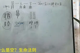 什么是空？生命法则视频封面