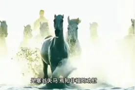 何为《哲理》 是什么？视频封面