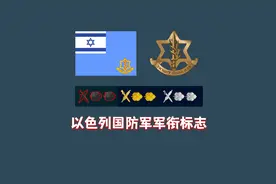 世界各国军衔标志：以色列国防军军衔视频封面