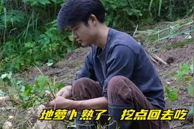 我家的地萝卜熟了，挖点回去给大家尝下，拿来炖排骨也好吃，嘿嘿视频封面