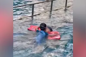 小男孩泳池游泳，游着游着两个萌娃突然“亲”上了，网友：缘分！视频封面
