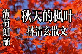 名家散文，林清玄《秋天的枫叶》，人生短暂活好当前这一刹那