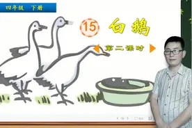 四年级下册语文《15.白鹅》第2课时，了解白鹅的高傲，学文章写法视频封面