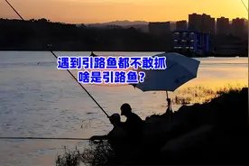 钓鱼人遇到引路鱼都不敢抓，啥是引路鱼？现实中真的存在吗？视频封面