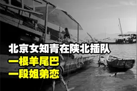 北京女知青在陕北插队，一根羊尾巴，一段姐弟恋，一段不了情视频封面