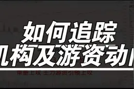 如何追踪机构及游资动向视频封面
