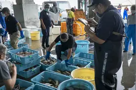 日本福岛核废水24日即将排海 240天到达中国？海鲜今后还能吃吗？视频封面