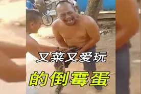 盘点又菜又爱玩的倒霉蛋：人菜瘾还大，每天笑到肚子疼视频封面