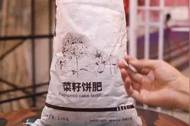 家里养花种菜用什么有机肥料？园艺师教你，用菜籽饼肥