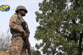 印巴连续第6晚交火，战机短暂升空对峙，印度宣布对巴关闭领空视频封面