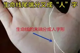 生命线尾端分叉成“人”字，需注意