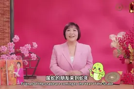 麦玲玲师傅2025蛇年十二生肖运势（完整版）视频封面