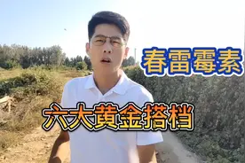 春雷霉素你知道如何搭配使用吗？春雷霉素六大黄金搭档