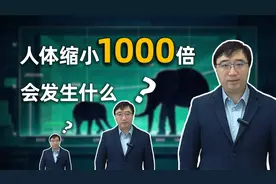 人体缩小或者扩大1000倍会发生什么？答案让你意想不到！视频封面