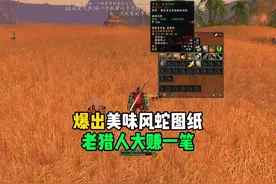 爆出美味风蛇图纸 老猎人大赚了一笔  #魔兽世界怀旧服 专家模式