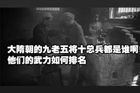 大隋朝的九老五将十总兵都是谁啊，他们的武力如何排名？视频封面
