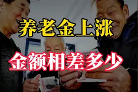 中央定调！2025年养老金上涨，2000、3000、4000元，上涨会差多少视频封面