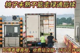 桃子未熟不能走绿通后续：知情者曝真相，收费站没错评论区炸锅视频封面