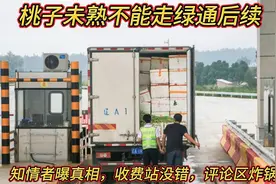桃子未熟不能走绿通后续：知情者曝真相，收费站没错评论区炸锅视频封面