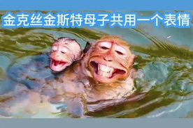 猴妈妈金克丝和猴宝宝金斯特，母子俩共用一个表情，龇牙咧嘴视频封面