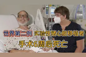 世界第二例实验性猪心脏移植者手术6周后死亡视频封面