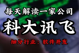 深度挖掘科大讯飞背后的逻辑视频封面