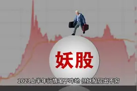 2023上半年十大妖股，你抓到哪只？
