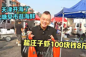 天津开海了，汪子虾大量上市，最便宜的100元8斤！螃蟹25元一斤！视频封面
