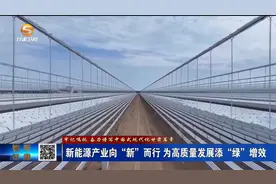 新能源产业向“新”而行 为高质量发展添“绿”增效视频封面