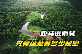 被称为“人类禁区”的亚马逊雨林，到底有多可怕？视频封面