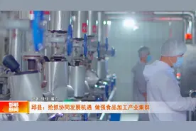 协同发展看邱县：做强做大食品加工产业集群视频封面