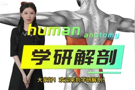 人体解剖学解开肌肉之谜：探索人体肌肉形态结构的奥秘视频封面
