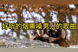 19首好听的烟熏嗓男人的歌曲，最经典好听的歌曲，快来一起收藏吧