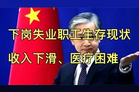 下岗失业职工生存现状：收入下滑、医疗困难，出路何在？视频封面