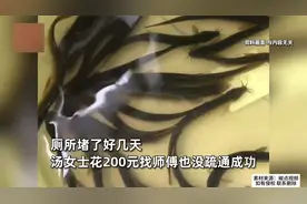 女子花200元疏通下水道没成功，一怒买2斤泥鳅帮忙，效果令人惊喜视频封面