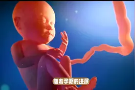 女性怀上孩子的全过程是怎样的？致敬最伟大的母亲视频封面