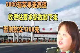 3000箱苹果过路费4398元女站长坚守规定结局令人拍手称快！视频封面