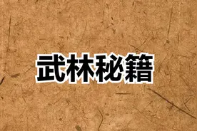 武林秘籍视频封面