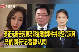 蔡正元被告污蔑马郁雯陪睡事件并非空穴来风，马的同行记者都认同视频封面