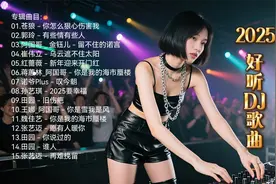 头条2025热门歌曲推荐  好听DJ歌《你怎么狠心伤害我》《旧伤疤》