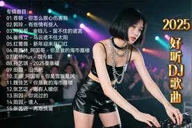 头条2025热门歌曲推荐  好听DJ歌《你怎么狠心伤害我》《旧伤疤》