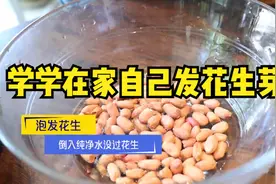 如何在家自己发花生芽？一步步详细交给你，这些重点要注意视频封面