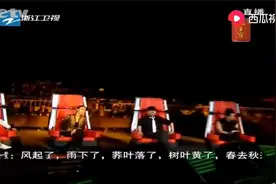 中国好声音：吉克隽逸唱《不要怕》，刘欢起立为她鼓掌