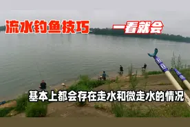 野河水流大如何垂钓？两种钓法交替使用，理论加实战，一学就会