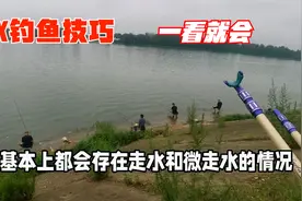 野河水流大如何垂钓？两种钓法交替使用，理论加实战，一学就会