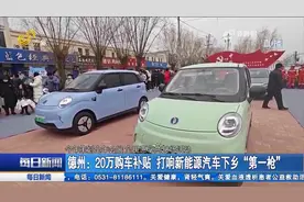 20万补贴！德州：打响新能源汽车下乡“第一枪”，市民购车热情高