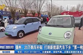 20万补贴！德州：打响新能源汽车下乡“第一枪”，市民购车热情高