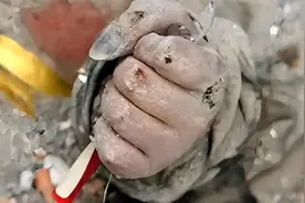 17年前汶川地震时的惊天一跳视频封面