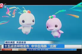十五运吉祥物发布 中华白海豚“出圈”视频封面