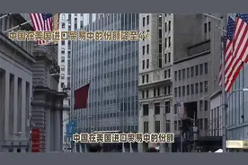 中国在美国进口贸易中的份额将从14%降至4%视频封面
